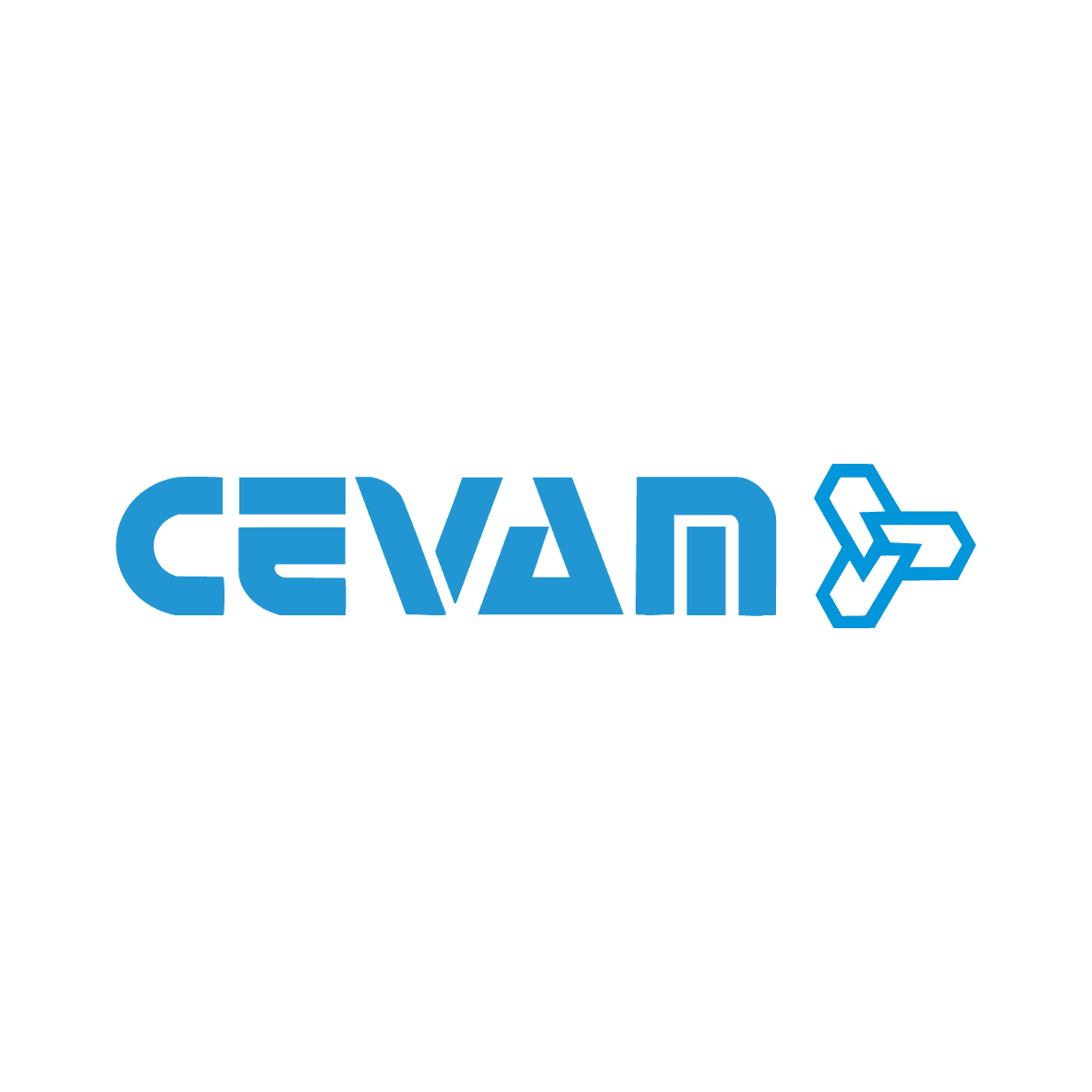 LOGO-WEB- CEVAM.png
